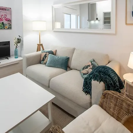 Duplex Flamingo * 카디스